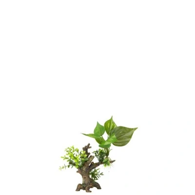 Afbeelding van Aqua Della Aquariumdecoratie Vissen Florascape 6 S 14,5x9x16,5cm 1st