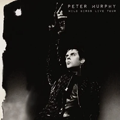 Afbeelding van Peter Murphy Wild Birds Live Tour (2 LP)