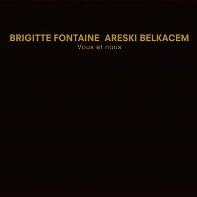 Afbeelding van Brigitte Fontaine Areski Belkacem Vous Et Nous (2 LP)