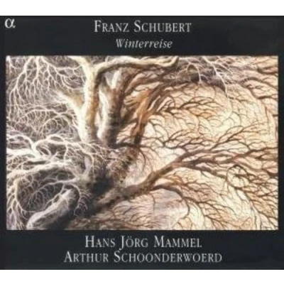 Afbeelding van Hans Jörg Mammel &amp; Arthur Schoonderwoerd Schubert: Winterreise Op 89 D911 (CD)
