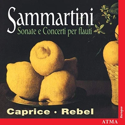Afbeelding van Sonate E Concerti Per Flauti