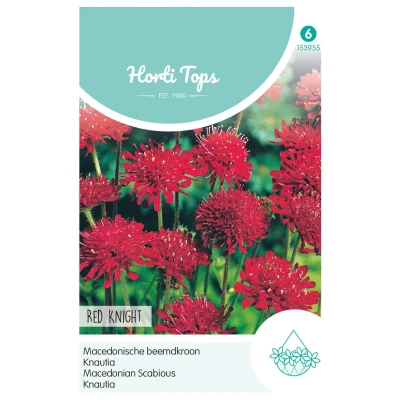 Afbeelding van Knautia macedonica Red Knight Hortitops