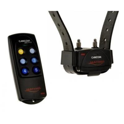 Image de Collier de dressage canicom 200 first
