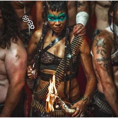 Afbeelding van Shaka Ponk (2 LP) (Deluxe Edition)