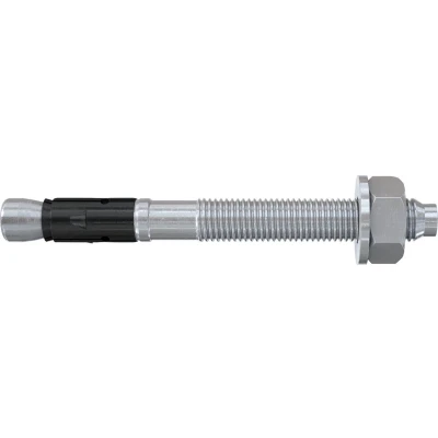 Afbeelding van Fischer FAZ II Plus 10/10 Boutanker 95 mm 10 564579 50 stuk(s)