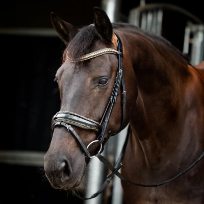 Image de HB Showtime Bridle Golden Dreams