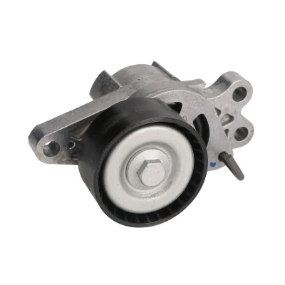 Afbeelding van Spanrol, Poly V riem SKF VKM 33300