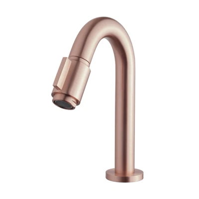 Afbeelding van Wiesbaden Victoria luxe fonteinkraan 1/2&#039;&#039; geborsteld koper