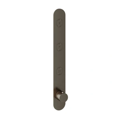 Afbeelding van HotBath Cobber Afbouwdeel Inbouwthermostaat met 3 pushbuttons verticale plaatsing Verouderd Ijzer PB050EXTAI