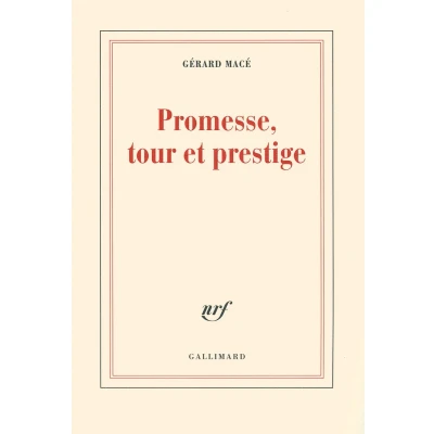 Afbeelding van Promesse, tour et prestige