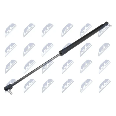Afbeelding van NTY AE CH 045 Gasveer achterklep 700N 585mm Achter