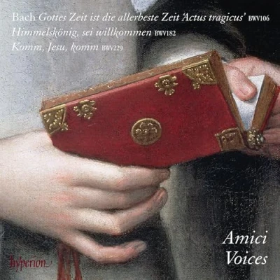 Afbeelding van Amici Voices Cantatas Nos 106 182 &amp; 229 (CD)