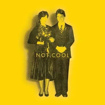 Afbeelding van Tim Easton Not Cool (LP)
