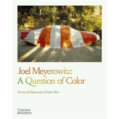 Image de Joel Meyerowitz : A Question of Color /anglais