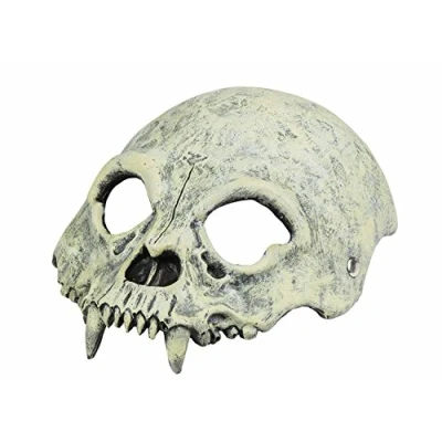 Afbeelding van Boland Foam halfmasker Schedel Volwassenen Skelet Halloween accessoire Horror
