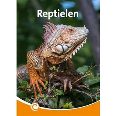 Afbeelding van Informatie 10 1 203 Reptielen