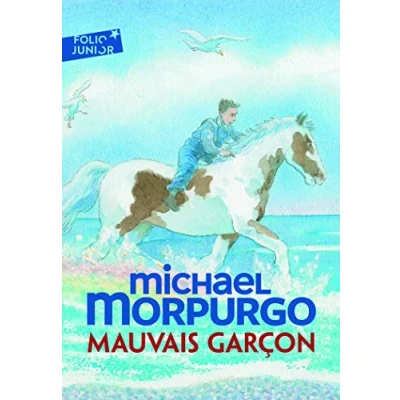 Afbeelding van Mauvais garcon