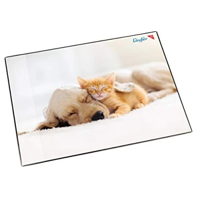 Image de Läufer 46657 Sous main antidérapant pour enfants Motif chien et chat 53 x 40 cm Avec poche latérale transparente