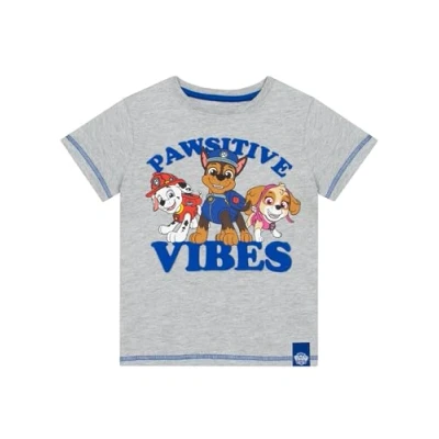 Afbeelding van Paw Patrol T shirt shirts met korte mouwen voor jongens kinderen, grijs.