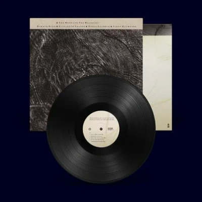 Afbeelding van Cocteau Twins &amp; Harold Budd the Moon Melodies (LP)