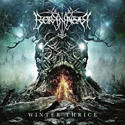 Afbeelding van Borknagar Winter Thrice (2 LPs)