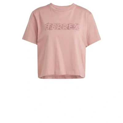 Afbeelding van adidas Sportswear Terrex Tshirt print, Dames, Maat: Medium, Warm clay
