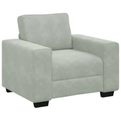 Afbeelding van vidaXL Fauteuil 60 cm fluweel lichtgrijs