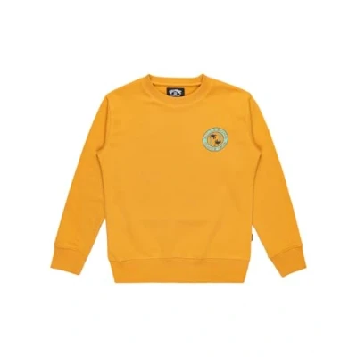 Afbeelding van Billabong Foundation Sweater voor kinderen, Maat: 147 152, Yellow