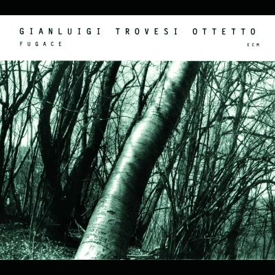 Afbeelding van Gianluigi Trovesi Ottetto Fugace (CD)