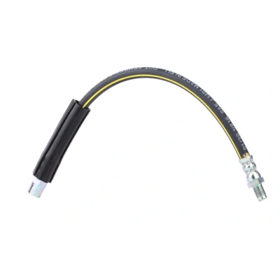 Afbeelding van Brembo Remslang T 06 001