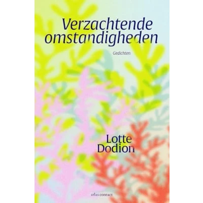 Afbeelding van Verzachtende omstandigheden