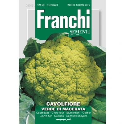 Afbeelding van Bloemkool, Cavolfiore Verde de Macerata 30/30 Franchi