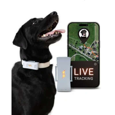 Afbeelding van PAJ GPS tracker voor honden 4G Wegloopalarmen + Wereldwijde live tracking Tot 10 dagen batterijbesparingsmodus Hond terugroepen Met verlichte LED&#039;s Past op elke halsband Grijs
