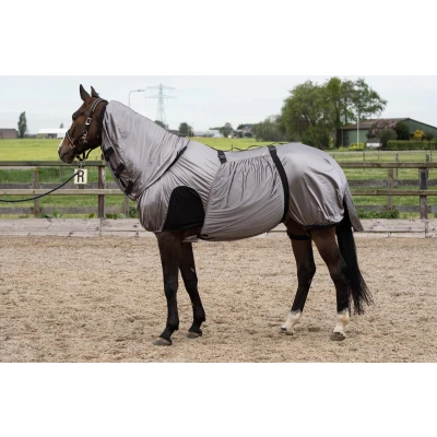 Afbeelding van Harry&#039;s Horse Eczeem/Vliegendeken UV 125/165