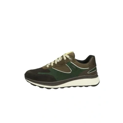Afbeelding van Geox Spherica Actif Sneakers laag, Heren, Maat: 42, dark coffee green Leer en textiel