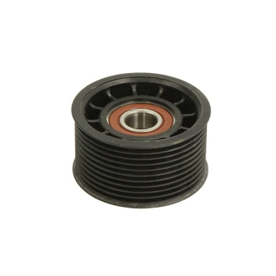Afbeelding van DAYCO APV2811 Geleiderol
