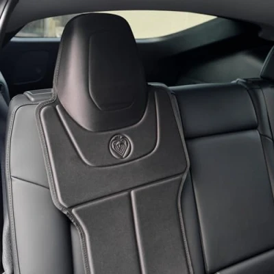 Image de Prince Lionheart Protecteur de siège Auto Tesla 2 Stage Seatsaver Designed for Models S, 3, X &amp; Y by Imperméable à l&#039;eau pour Enfant Noir