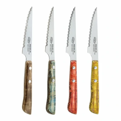 Afbeelding van Vleesmessenset San Ignacio Evergreen BGEU 6076 Multicolour Roestvrij staal (4 Stuks)