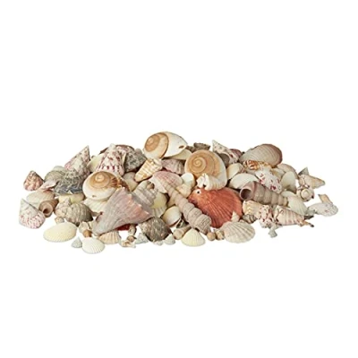 Afbeelding van Relaxdays decoratie schelpen set 2 kg kleurrijke mix maritieme tafeldecoratie bont