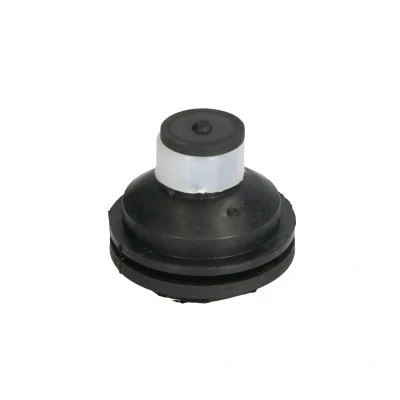 Afbeelding van REINHOCH RH11 2109 Aslichaam / motorsteunlager Voor RENAULT: Kangoo I, I Express, MEGANE 2 Kombi