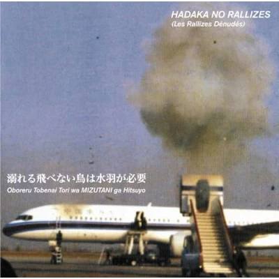 Afbeelding van Hadaka No Rallizes (Les Denudes) Flightless Bird Needs Water Wings, Volume 1 (LP)