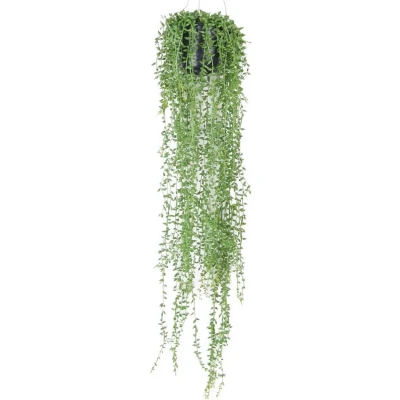 Afbeelding van Hangplant met pot 5 Driesprong Collection