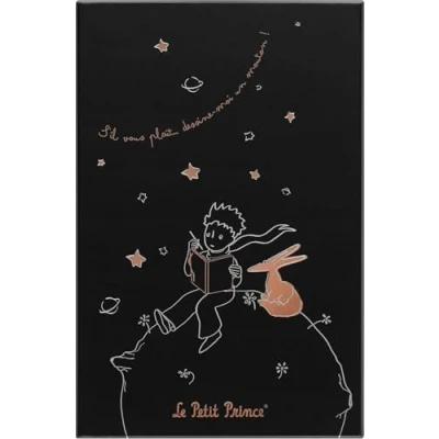 Afbeelding van Moleskine Limited Edition Petit Prince (80th ann.) Large (13x21cm) Gelinieerd Notitieboek (box)