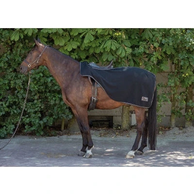 Afbeelding van Harry&#039;s Horse Uitrijdeken Fleece Zwart L