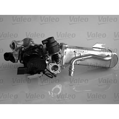 Afbeelding van Valeo EGR module 700441