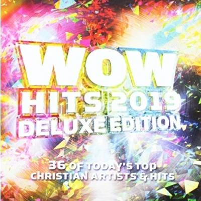 Afbeelding van Various Artists Wow Hits 2019 (2 CD) (Deluxe Edition)