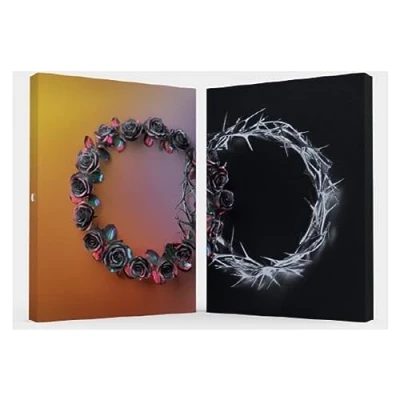 Afbeelding van Rose Dual (CD)