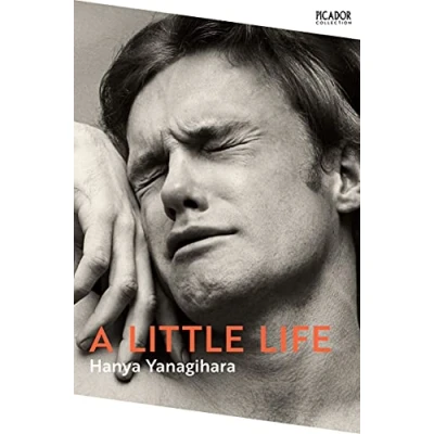 Afbeelding van Picador Collection A Little Life Donkergrijs