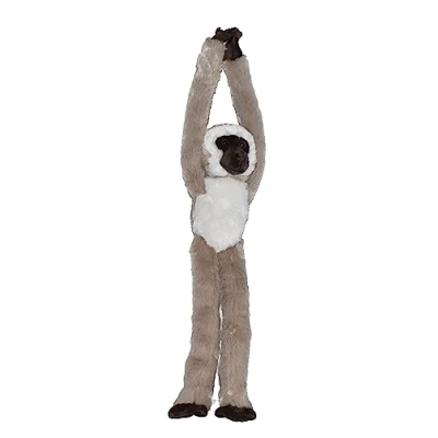 Afbeelding van Wild Republic Hanging 20, 23485, Monkey Glazen