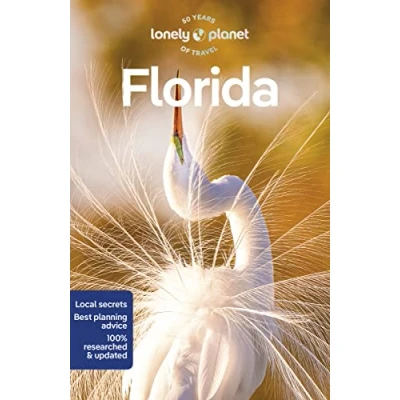 Afbeelding van Travel Guide Lonely Planet Florida